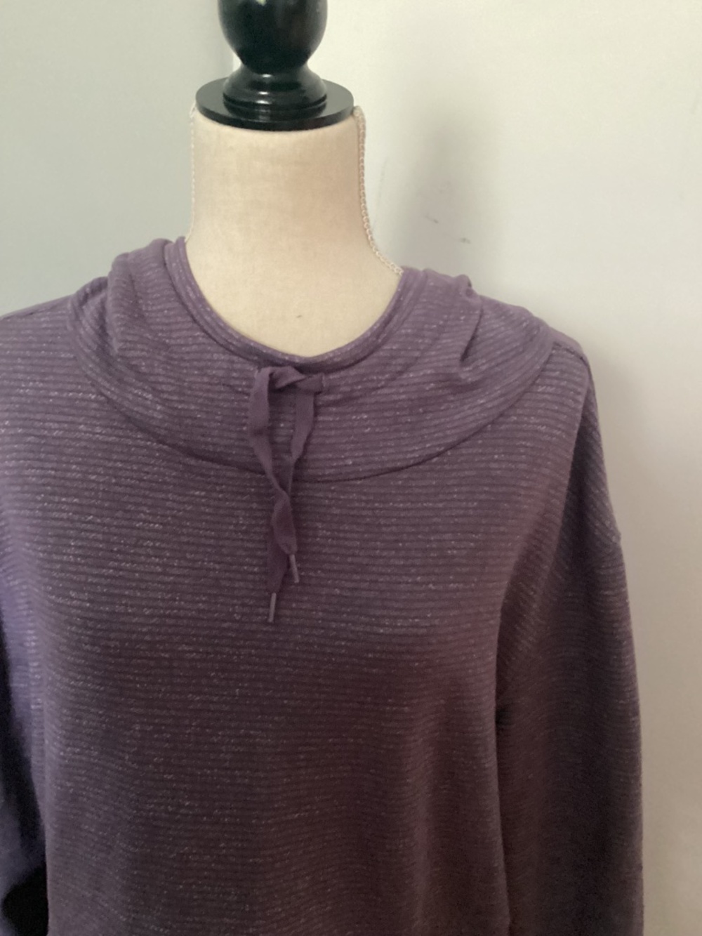 CHAMPION ELITE WOMAN XXL PURPLE WHITE STRIPES HOODIE KANGAROO POCKETS - Picture 6 of 9